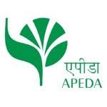 WhatsApp Image 2025-10-02 at 11.32.41_7b7a4398